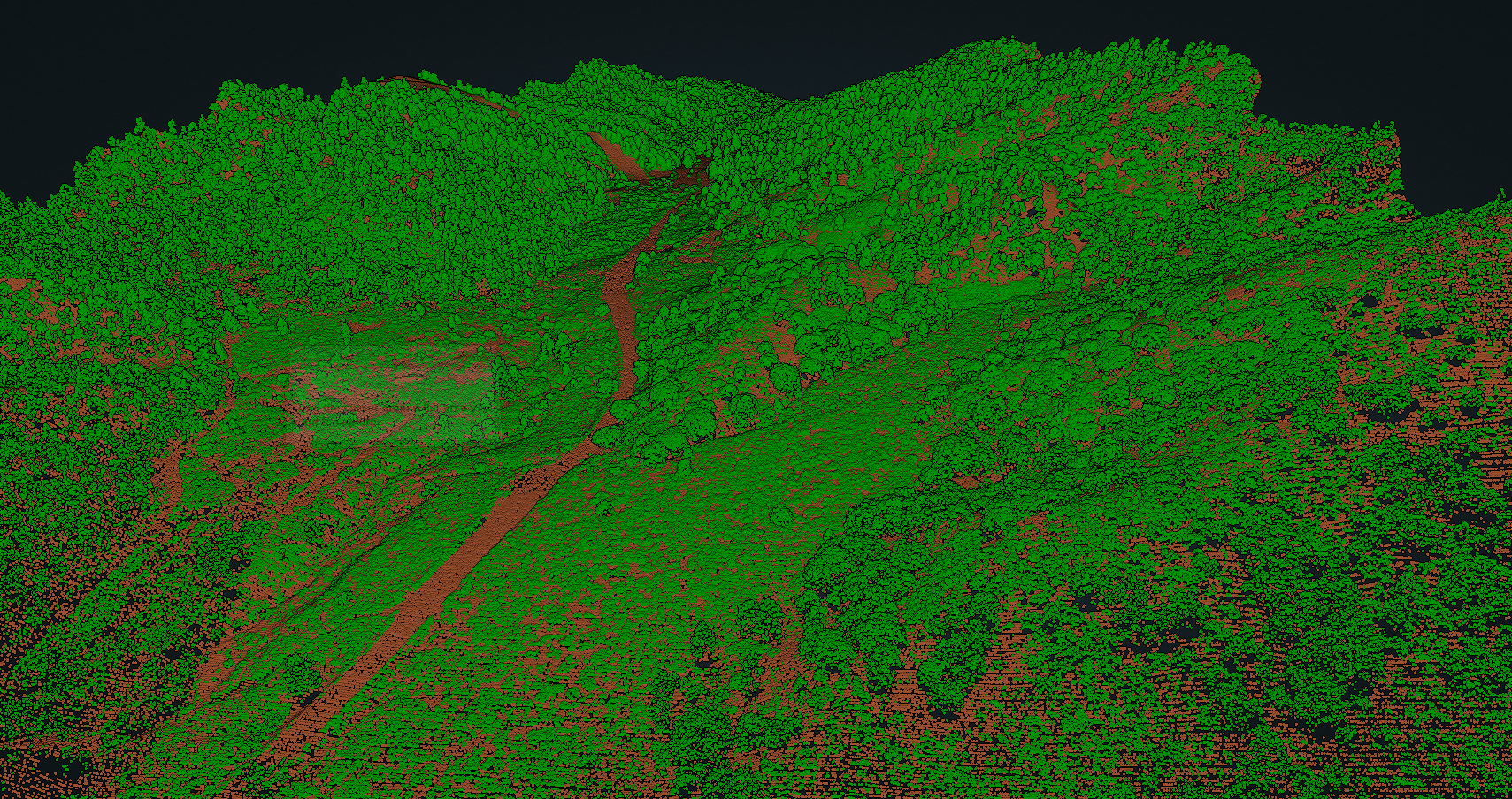 Forest cover and ground point cloud classifications in San Gabriel Mountains near Wrightville, California, along the southern San Andreas fault.