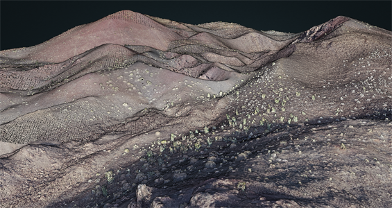 Tecolote Volcano point cloud visualization from photogrammetry